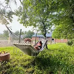 Stajnia Kopytkowo * Majdany Wielkie